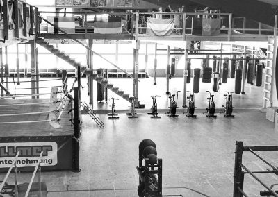 Pugilist Bruchsal - Fitness